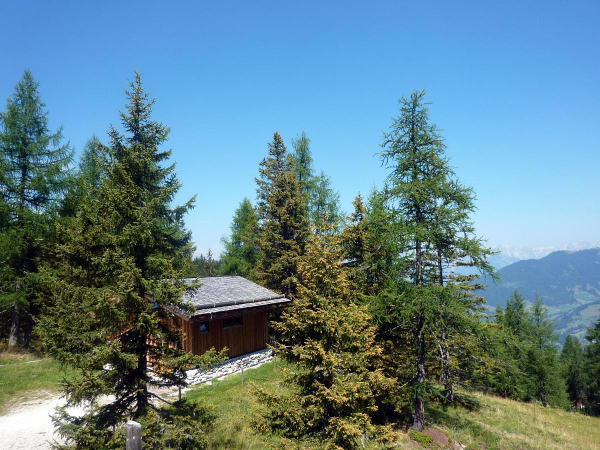 Haus Daniel Schartner Lägenhet Kleinarl Exteriör bild